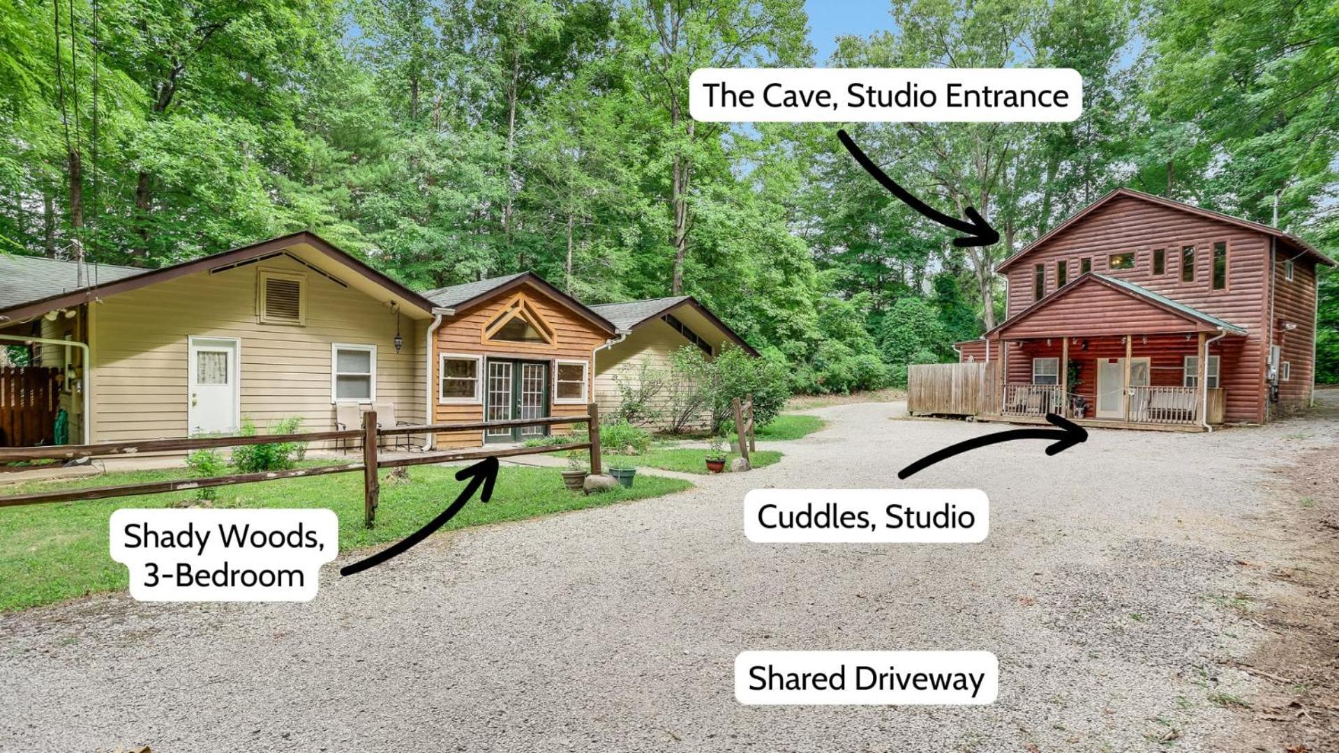 Cuddles, 1 Bedroom Studio, Walk To Downtown And Hiking Trails! Gatlinburg Extérieur photo